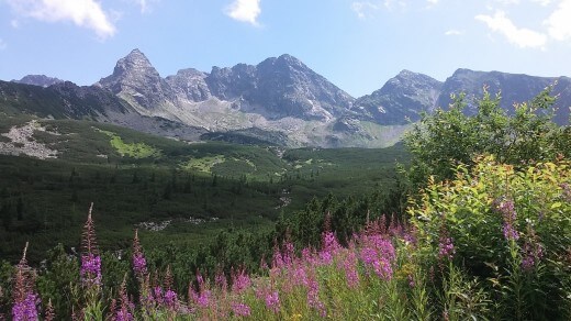 góry 2015 024 (Kopiowanie)