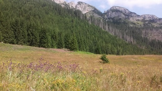 góry 2015 200 (Kopiowanie)
