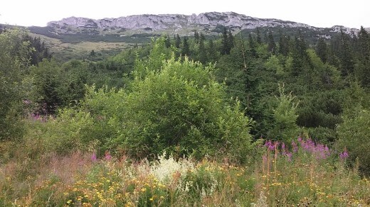 góry 2015 269 (Kopiowanie)
