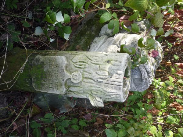 znaleziony-w-zaroslach
