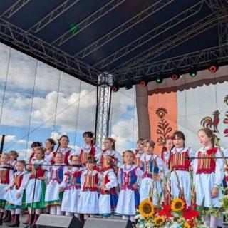 DZTL Bogutki podczas występu na dożynkach na boisku w Woli Przybyslawskiej.